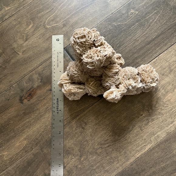 Desert Rose Selenite - Picture 3 of 11